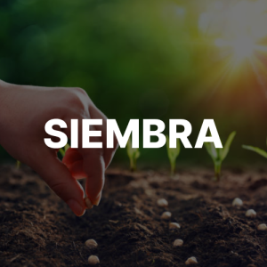 Siemrbe-jMAQ